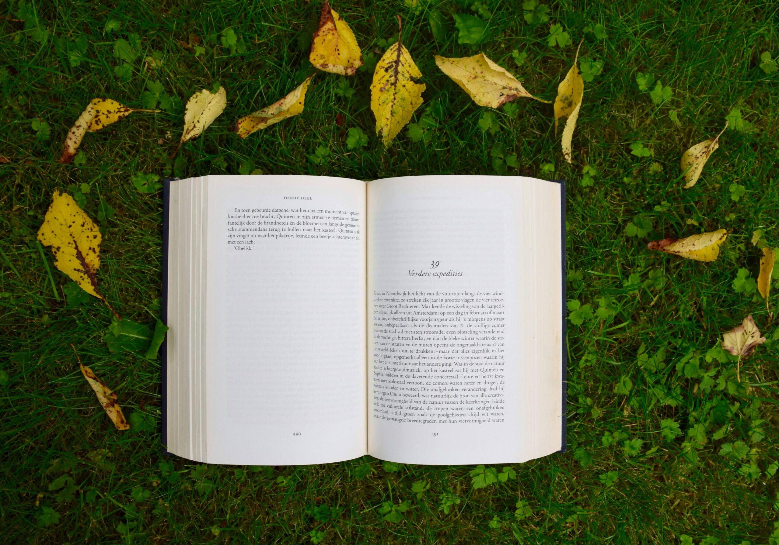 Livro aberto e pousado na relva, com folhas em redor